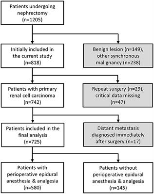 Association Between Epidural Analgesia and Cancer Recurrence or Survival After Surgery for Renal Cell Carcinoma: A Propensity Weighted Analysis